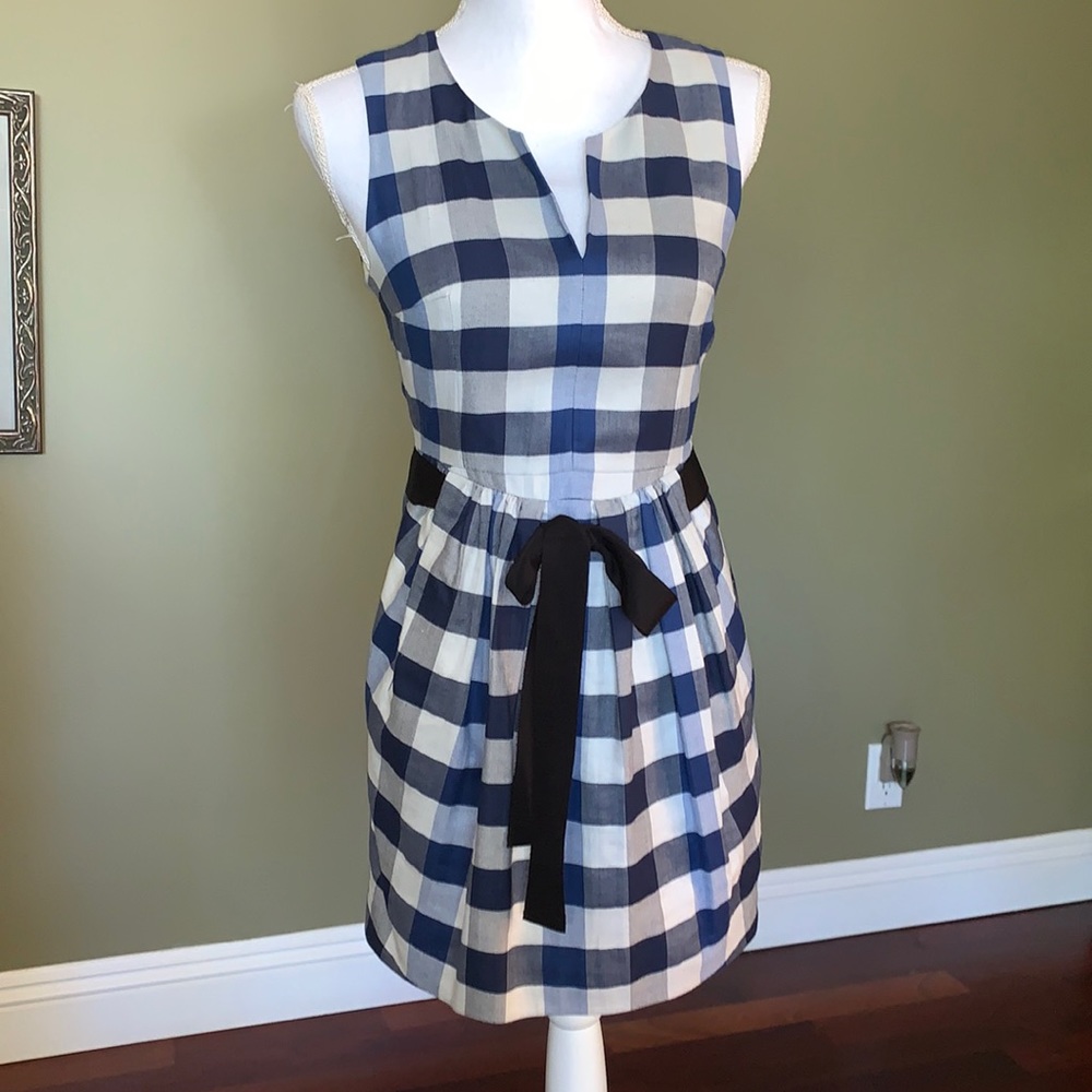 Blue and White Checkered Sleeveless Dress